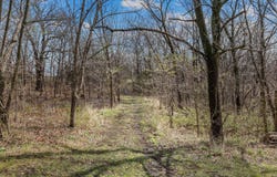 471 SW County Road F, Centerview, MO 64019