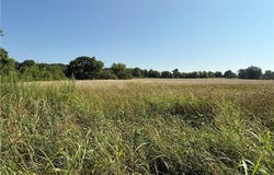 W Pridemore, Lincoln, AR 72744