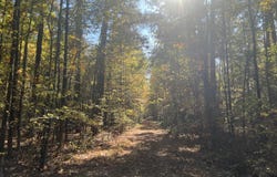 7400 Marye Rd, Spotsylvania Courthouse, VA 22551