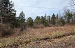 Dingman Hill Road, Bainbridge, NY 13733