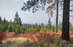 Lodgepole Ln, Elk, WA 99009