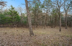 344 RS County Road 4254, Point, TX 75472