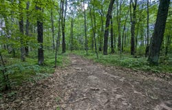 Fosmo lot: 2, Webster, WI 54893