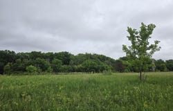 9A102 Locust Drive, APPLE RIVER, IL 61001