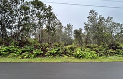 ALAULA ST, Volcano, HI 96785