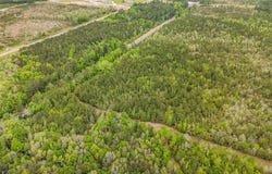 Highway 43 N, Mount Vernon, AL 36560