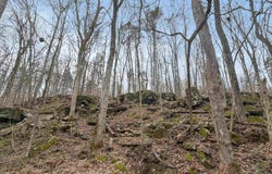 572B County Road 676, Bryant, AL 35958