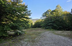 1155 Dickvale Road, Peru, ME 04290