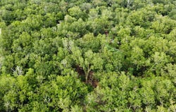 555 COUNTY ROAD 31, Angleton, TX 77515