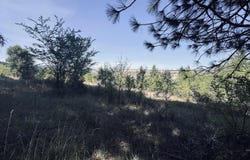 Dalton Acres Rd, Clearwater, ID 83552