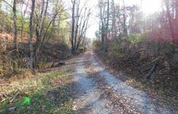 3525 BIG BRANCH Road, Riner, VA 24149