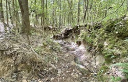 3 Clara Foote Rd, Braxton, MS 39044