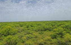 FM 2321-TRACT 1, Bellevue, TX 76228