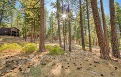1606 Deer Path, Truckee, CA 96161
