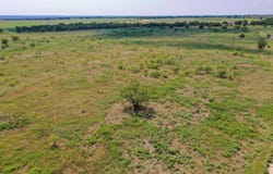 29.56 Acres Ballard Road, Jacksboro, TX 76458