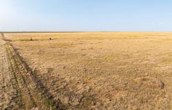 Mile 15 Rd, Guymon, OK 73941