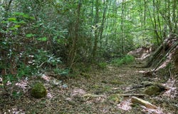 Russell Gap Rd, Taylorsville, NC 28681