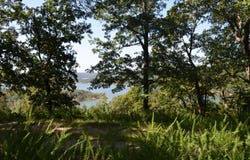 Cliffside Drive lot: 10, Galena, MO 65656