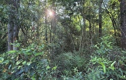 V/L 21 Lighthouse Circle, Woodbine, GA 31569