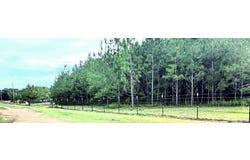 21379 Ima Brill Loop, Robertsdale, AL 36567