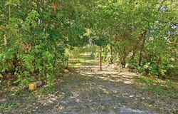 2100 Whirlaway Dr, Del Valle, TX 78617