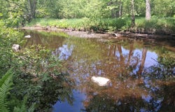 4 County Road T, Tripoli, WI 54564