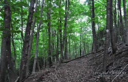 Highland Laurel Lane, Deep Gap, NC 28618