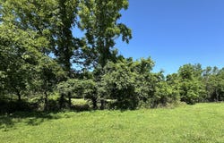 443 Marsha Road, Billings, MO 65610