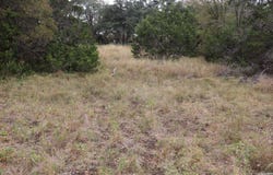 24 Quiet Meadow Cir, Wimberley, TX 78676