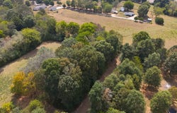 County Road 243, Florence, AL 35633