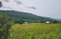 1639 Eleven Mile Rd, Shinglehouse, PA 16012