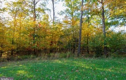 GOLDEN MEADOW Lane lot: 4, MC HENRY, MD 21541