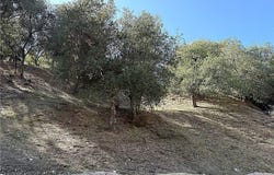 0 High Cliff Trail, Tujunga, CA 91042