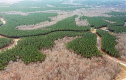 Moonlight Lane lot: Jf542, Jasper, TN 37347