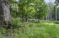Cronk Hill Road, Fillmore, NY 14735