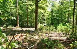 DAMON RD lot: 2, SCHUYLER, VA 22969