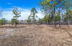 0 Conway Rosteet Road, Ragley, LA 70657