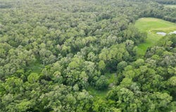 SW 31ST WAY, WEBSTER, FL 33597