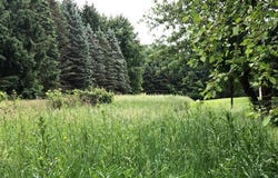 Driftwood Drive, DeWitt, MI 48820