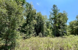 10AC 198TH TER, OBrien, FL 32071