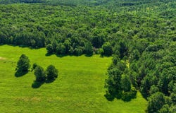 9452 Lynch Drive, Bucyrus, MO 65444