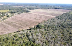 0 Kinsey Rd, Dothan, AL 36303
