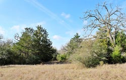 Parcel 5 Lobo Lane, Columbus, TX 78934