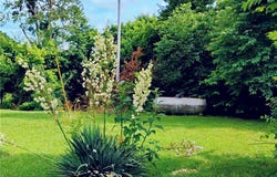 281 County Road 9953, Green Forest, AR 72638