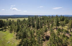 11675 Canyon Rim Ranch, Custer, SD 57730