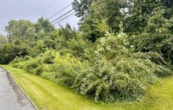 5620 Park Dr, Bowie, MD 20715
