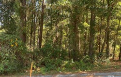 239 Bayview Drive, Daphne, AL 36526