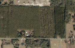 CR 349, OBrien, FL 32071