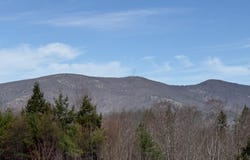 29 Haviture Way, Denmark, ME 04022