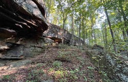 263 Highway, Fox, AR 72051